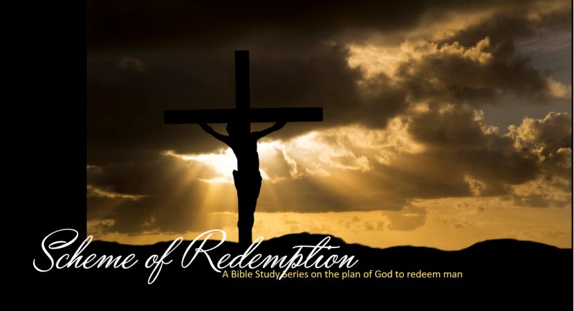 Crucifixion Of Jesus Christian Cross Sin Christianity - Evening - Christ Transparent PNG