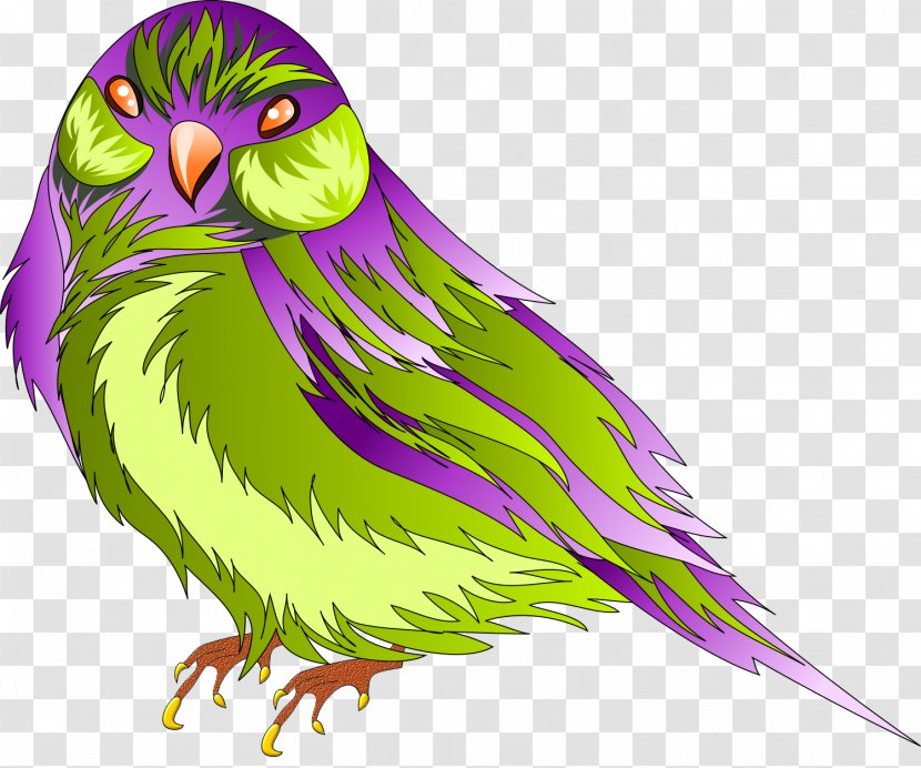 Owl Feather Bird Beak Parakeet - Purple Transparent PNG