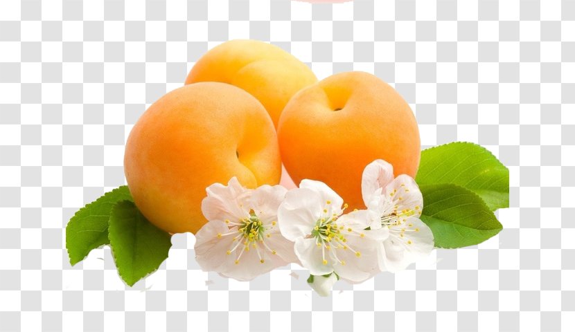 Desktop Wallpaper Fruit Apricot - Apple Transparent PNG