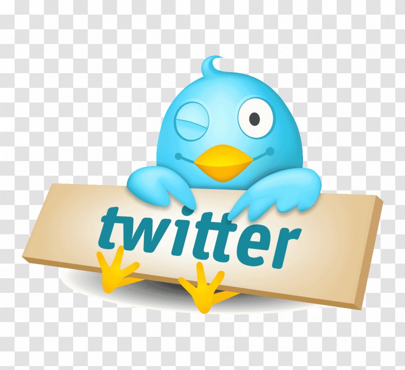 Social Media Twitter Logo Network Animation - Material Transparent PNG
