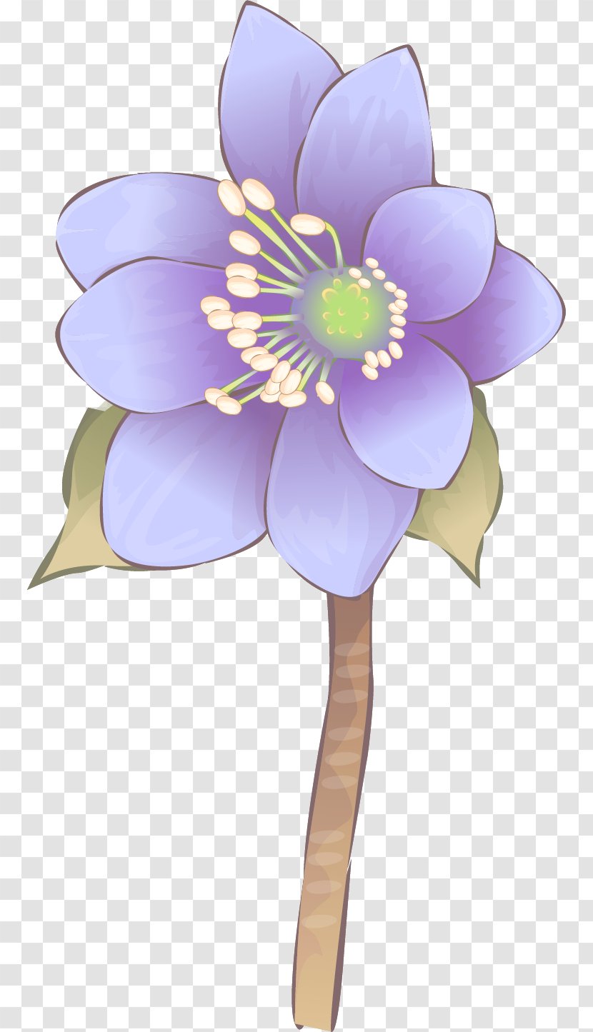 Flower Lavender Lilac Violet Purple - Flowering Plant - Green Flowers Transparent PNG