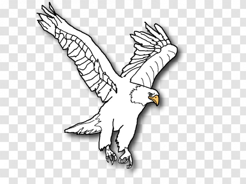 Bald Eagle Line Art Clip - Neck Transparent PNG