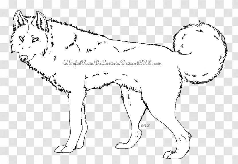 Whiskers Cat Dog Breed Lion - Mammal - Wolf Face Transparent PNG