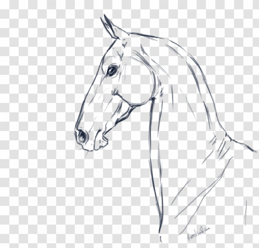 Akhal-Teke Mane Line Art Drawing Sketch - Horse Tack - Painting Transparent PNG