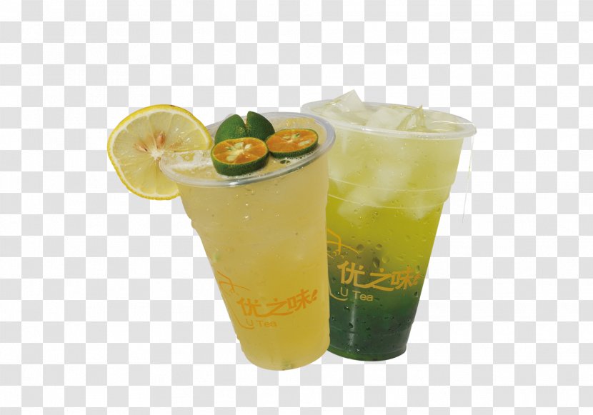 Fuzzy Navel Mojito Long Island Iced Tea Cocktail Garnish Limeade - Orange Drink - Ice Lemon Transparent PNG
