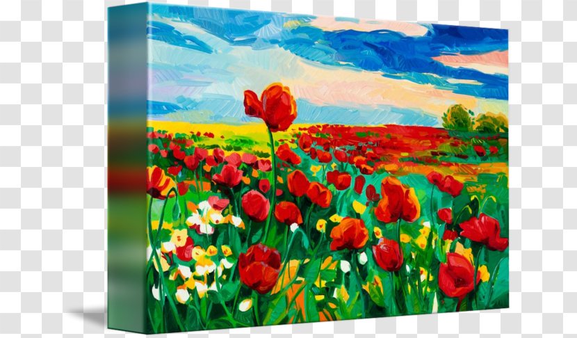 Common Poppy Painting Tulip - Paint - Field Transparent PNG