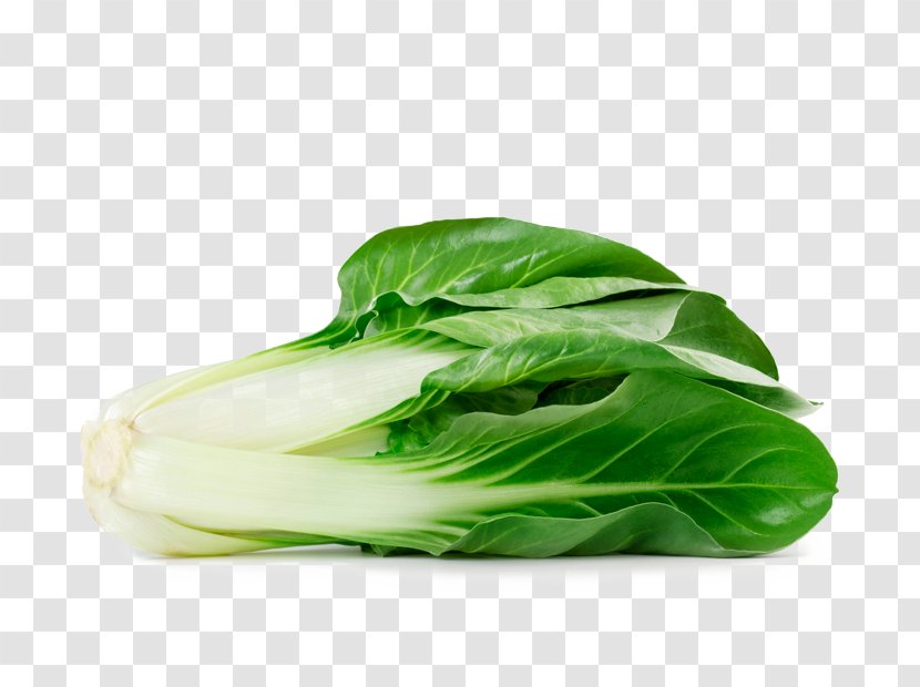 Romaine Lettuce Chard Spinach Leaf Vegetable Transparent PNG