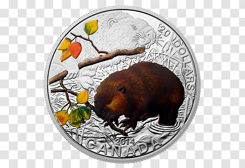 Beaver Silver Coin Canada Transparent PNG