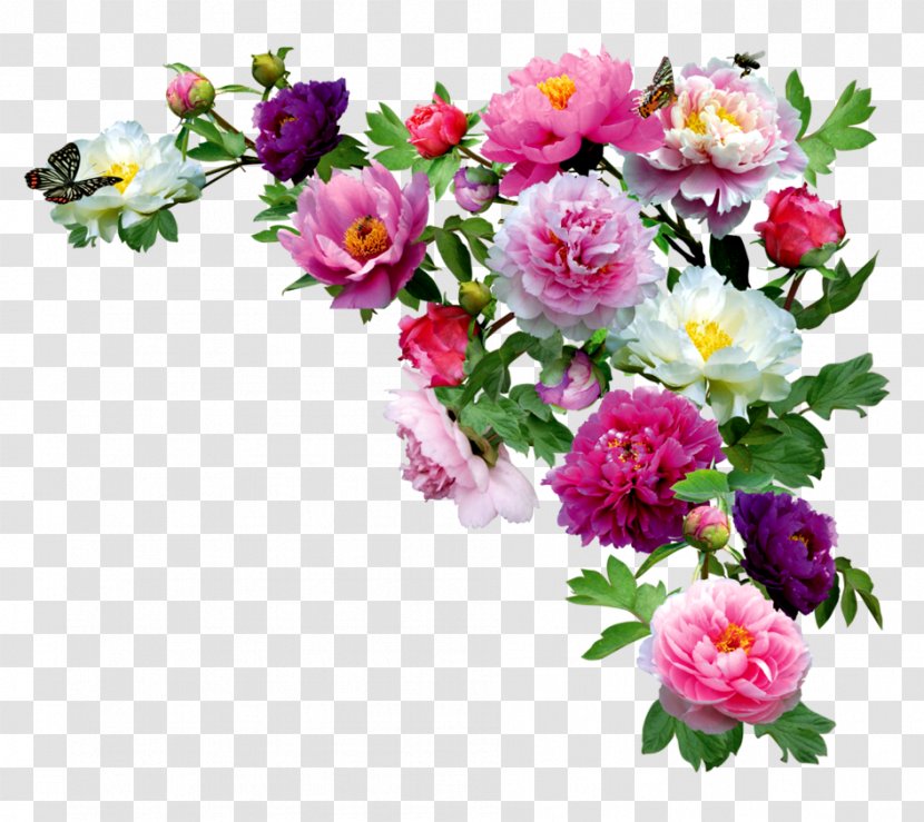 Photography Drawing - Flower - Bouquet Transparent PNG