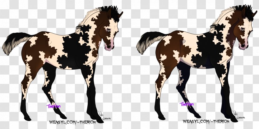Foal Mustang Stallion Colt Mare - Chimera Transparent PNG