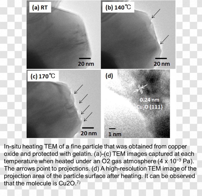 Transmission Electron Microscopy Nanoparticle Copper Microscope Temperature - Heart - Hokkaido Transparent PNG