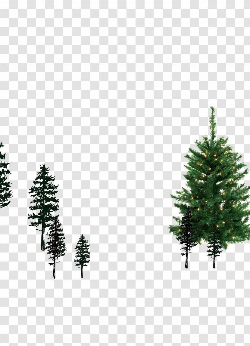 Spruce Pine Christmas Ornament Fir Tree Transparent PNG