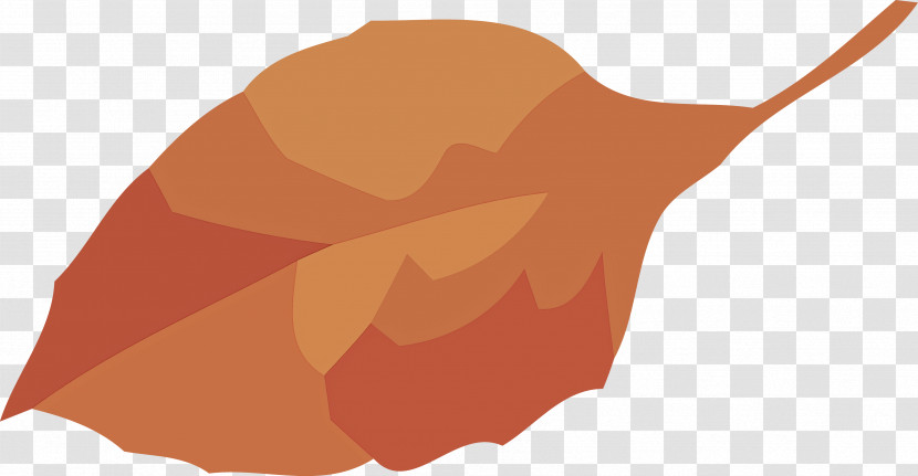 Autumn Leaf Fall Leaf Yellow Leaf Transparent PNG