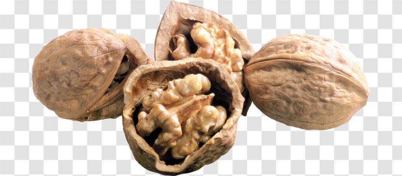 English Walnut Raw Foodism Praline - Superfood Transparent PNG