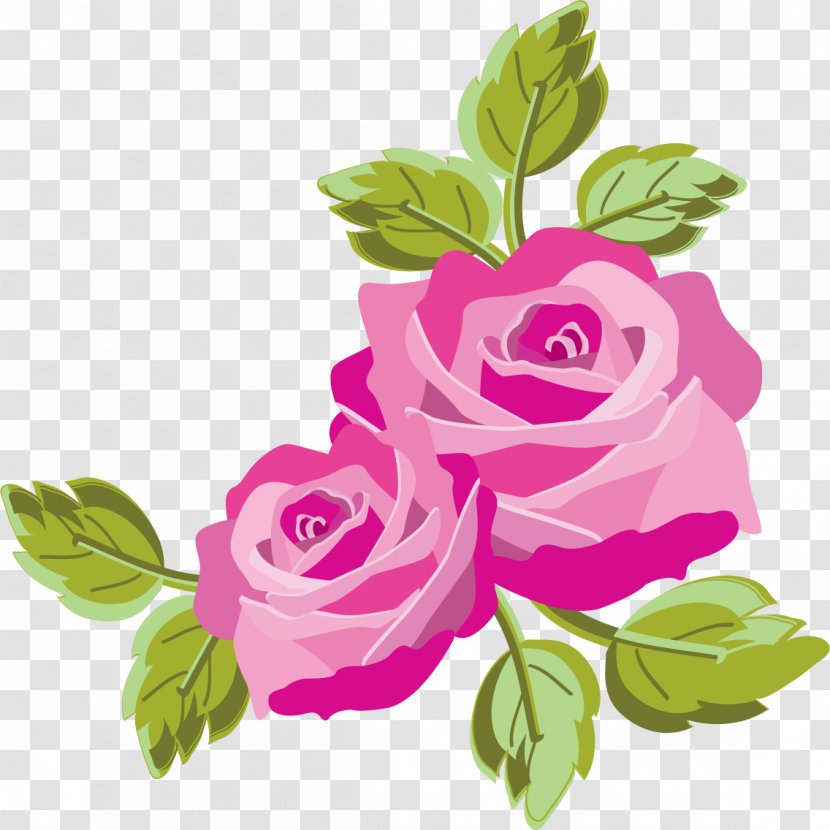 Garden Roses Cabbage Rose Clip Art - Cut Flowers - Design Transparent PNG