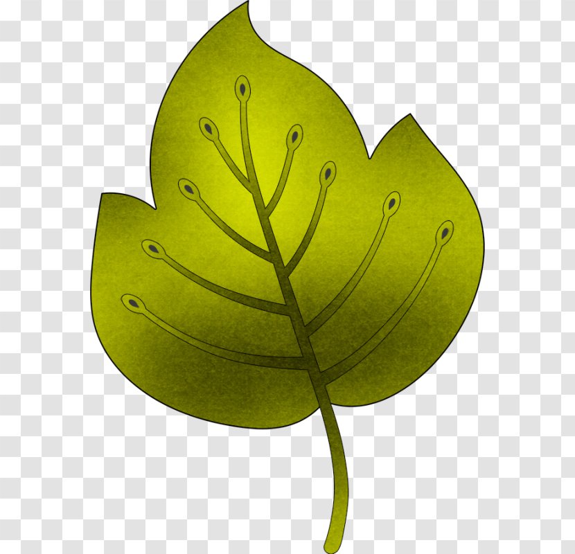 Leaf Product Design Plant Stem Transparent PNG