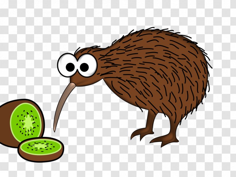 The New Zealand Kiwi Clip Art Bird Vector Graphics - Wildlife Transparent PNG