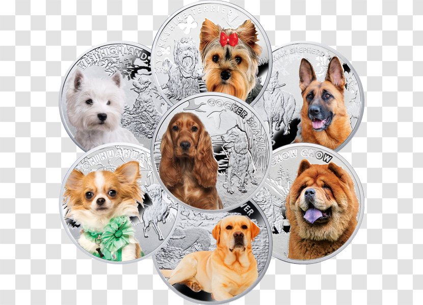 Yorkshire Terrier Dog Breed Man's Best Friend Companion Proof Coinage - Silver - Man Transparent PNG