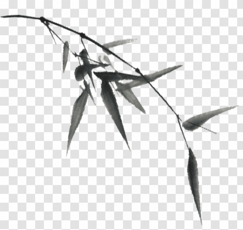 Black And White Bamboo - Leaf - Hand-painted Transparent PNG
