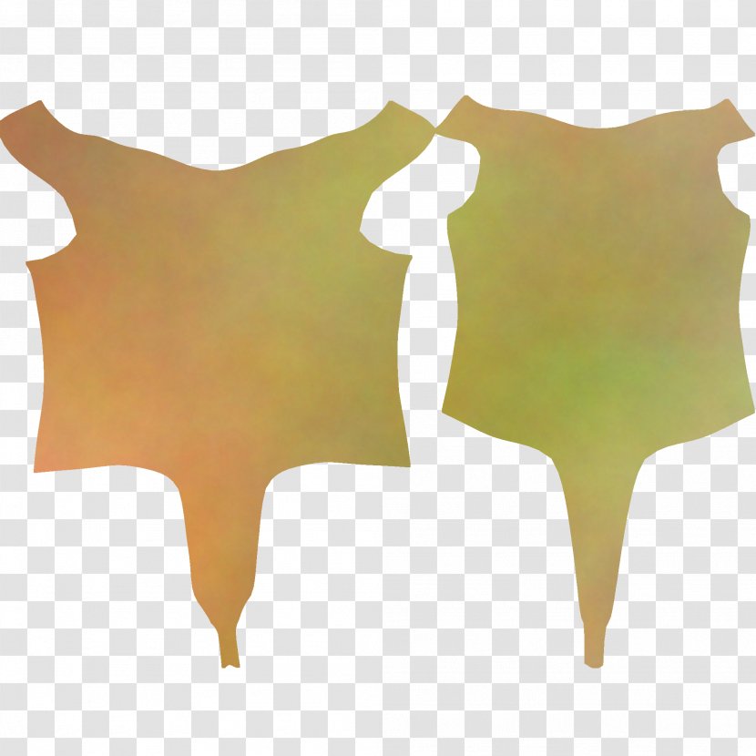 Leaf - Tree Transparent PNG