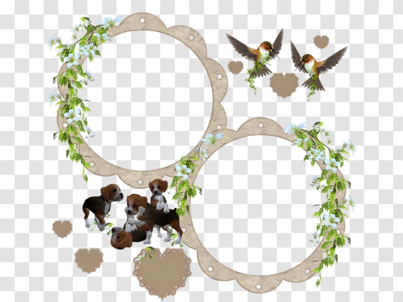 Hummingbird - Picture Frames - Ribbon Transparent PNG