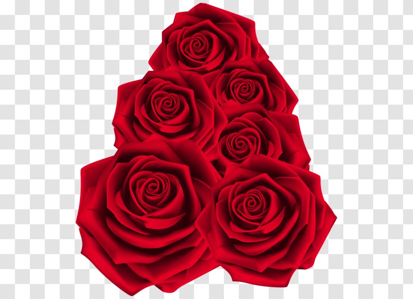 Garden Roses Raster Graphics - Floral Design - Rose Transparent PNG