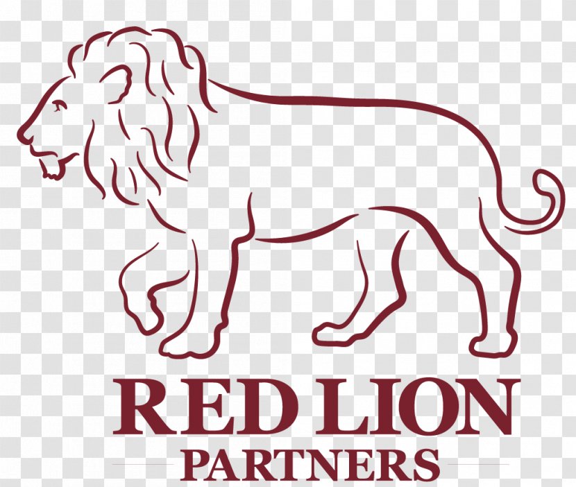 Dog Breed 尚鎂科技有限公司 Mikkelson Law Firm New Jersey Real Estate Investors Group Higher Education - Mammal - Lion Red Transparent PNG