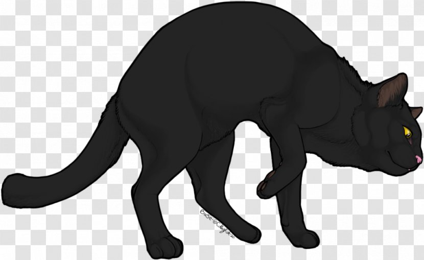 Black Cat Kitten Whiskers Domestic Short-haired - Dog Like Mammal Transparent PNG