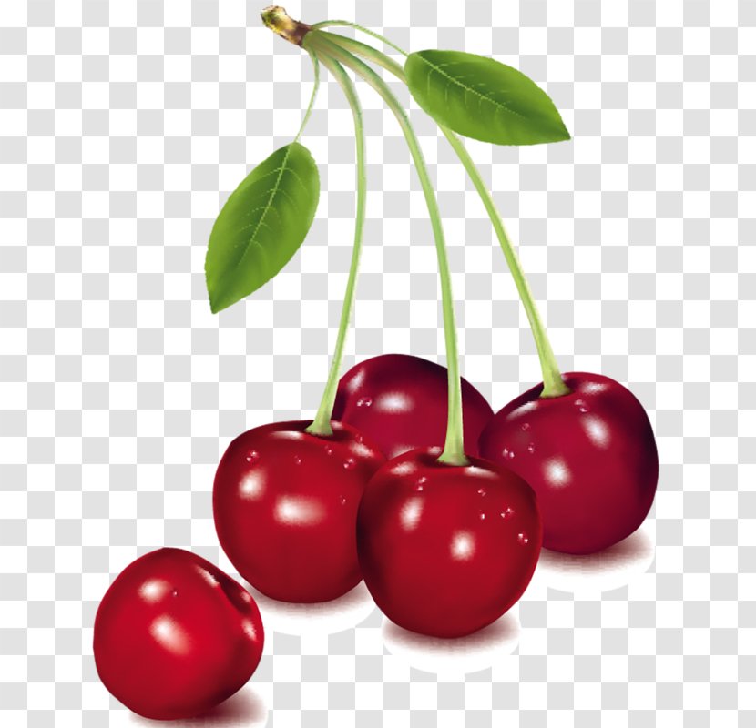Cherry Pie Clip Art Cherries Fruit Vector Graphics - Berry - Berries Transparent PNG