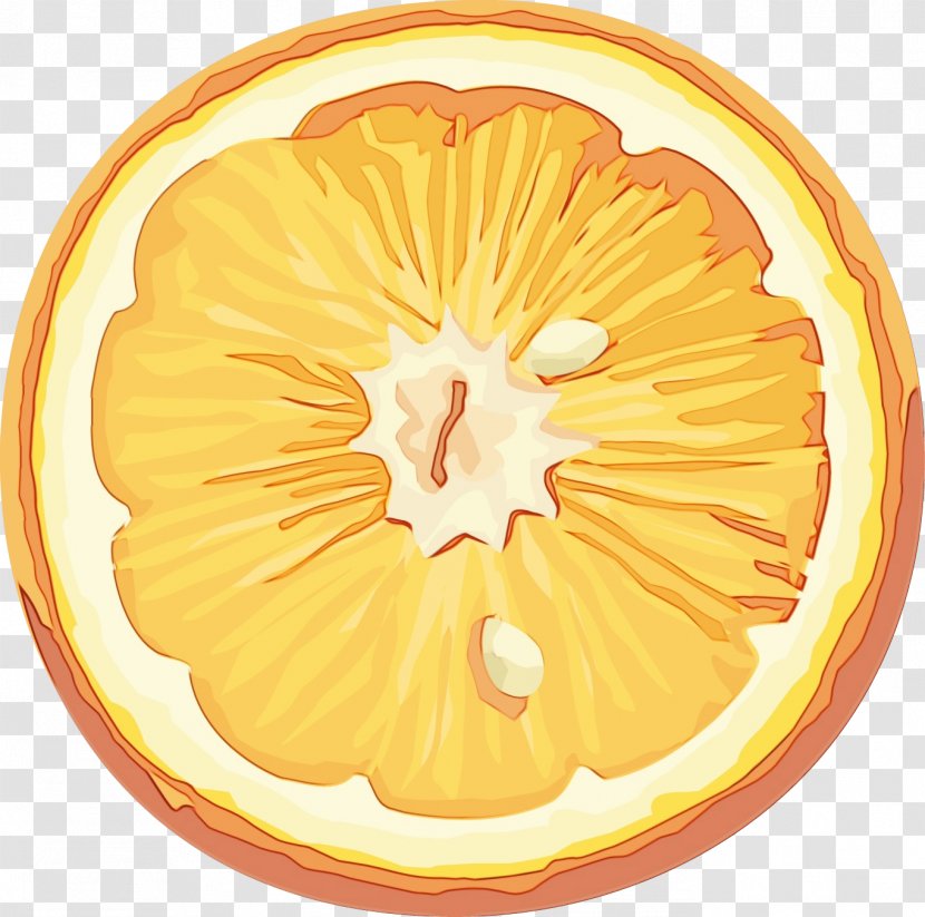 Orange - Wet Ink - Vegetarian Food Lemon Transparent PNG