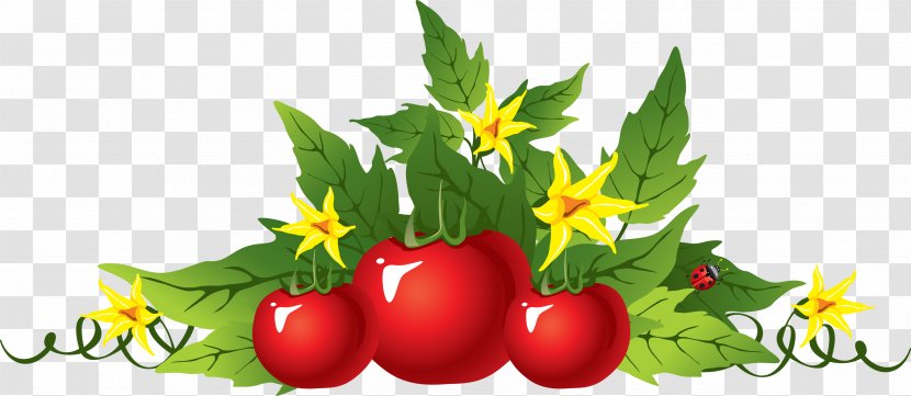 Garden Tool Fork Gardening - Fruit - Tomato Transparent PNG