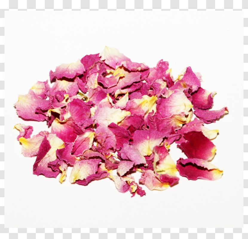 Petal Coffee Tea Floral Design Organic Food - Spice - Damask Rose Transparent PNG
