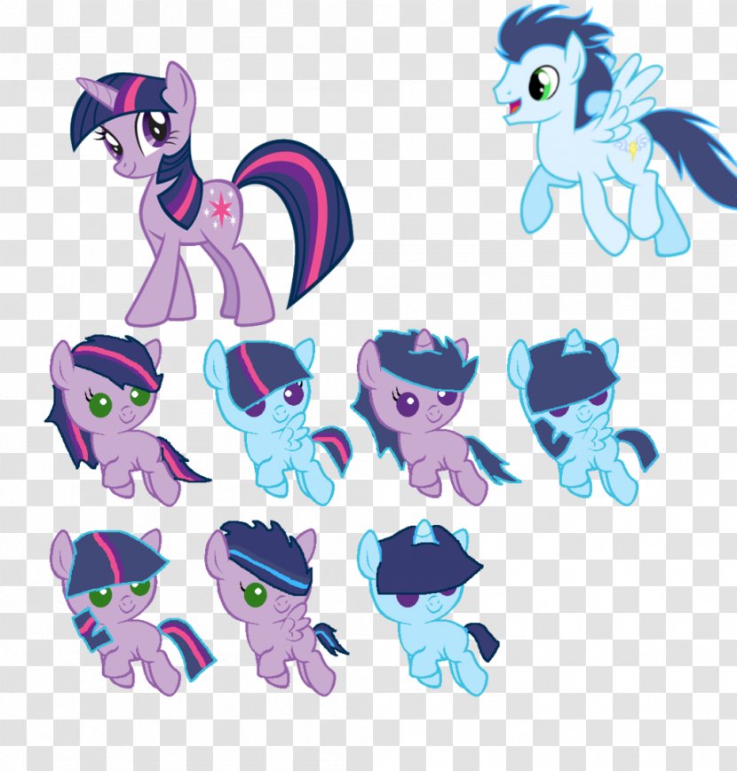 Twilight Sparkle Rainbow Dash My Little Pony Rarity - Vertebrate Transparent PNG