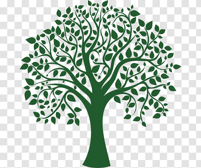 Tree Drawing Clip Art - Plant - Green Transparent PNG