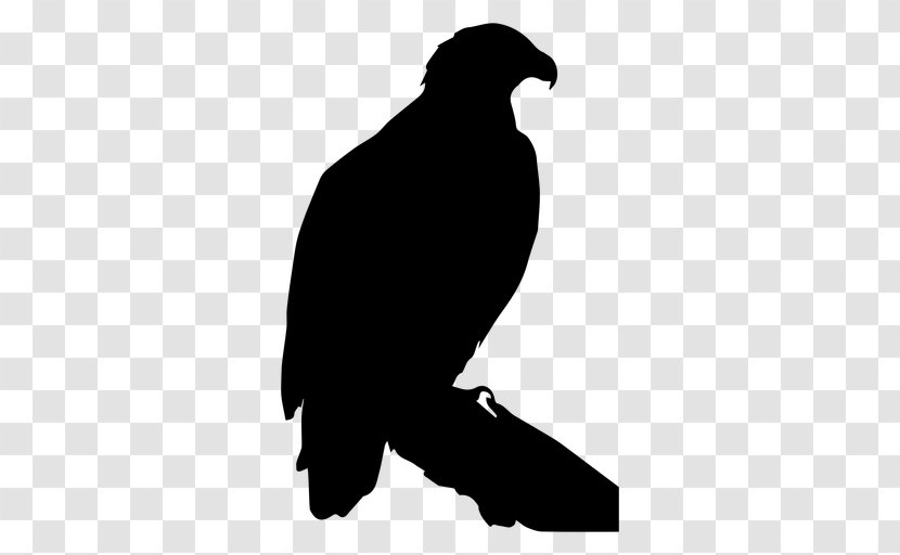 Silhouette Bald Eagle Image - Wing - Shepherd Svg Transparent PNG