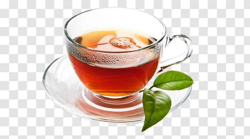 Green Tea Bubble Assam Ginger - Herbal Transparent PNG
