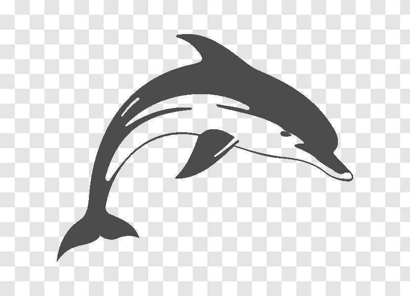 Common Bottlenose Dolphin Short-beaked Tucuxi Rough-toothed White-beaked - Fauna Transparent PNG