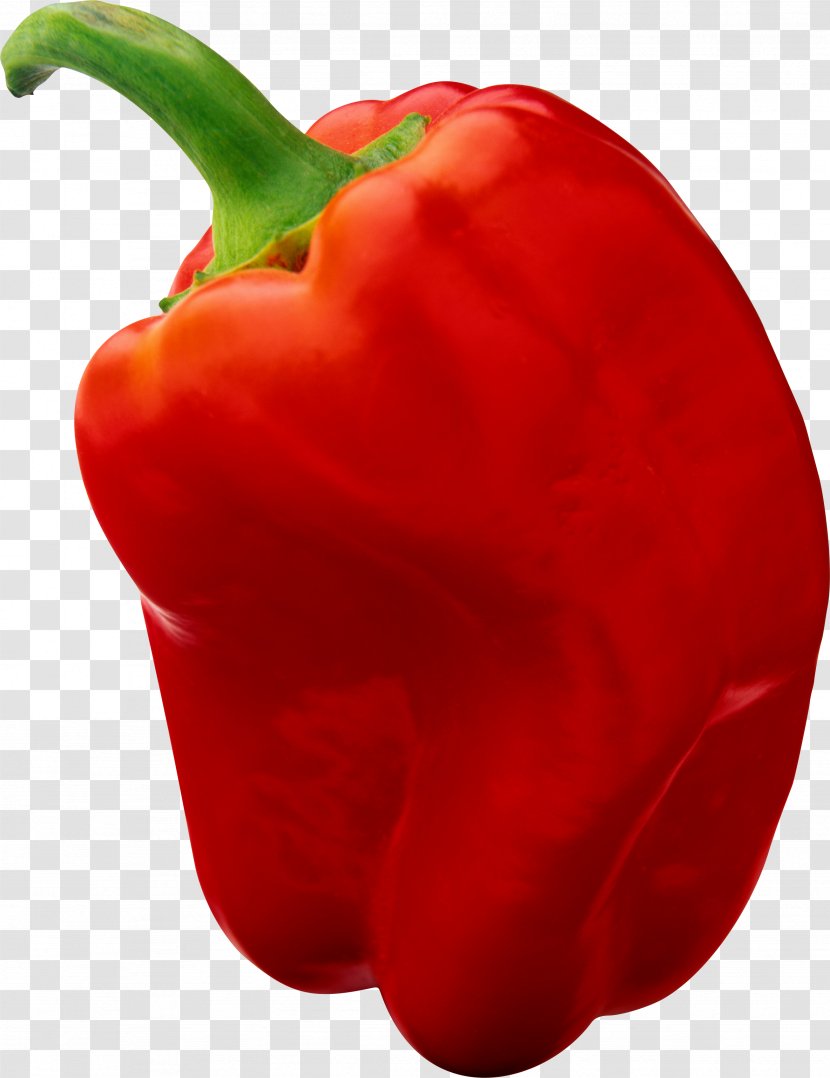 Bell Pepper Chili Red Black - Malagueta - Peppers Transparent PNG