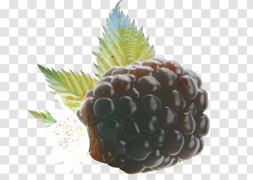 Pineapple Cartoon - Loganberry - Frutti Di Bosco Transparent PNG