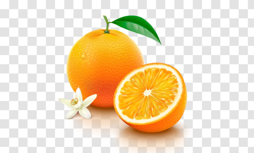 Orange Juice Nutrient Vitamin C - Clementine - Fruit Transparent PNG