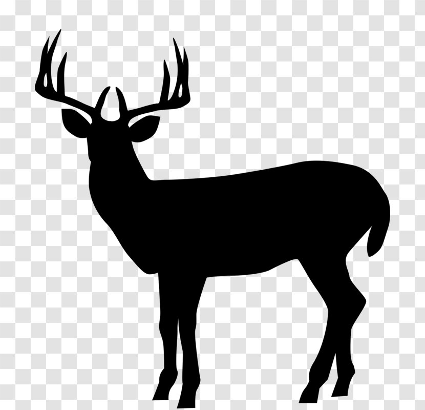 Silhouette Roe Deer Clip Art Illustration Elk Transparent PNG