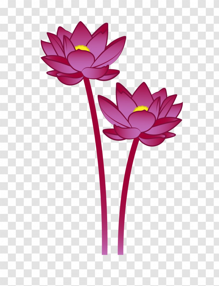 Euclidean Vector Flower Vecteur - Nelumbo Nucifera - Red Lotus Transparent PNG
