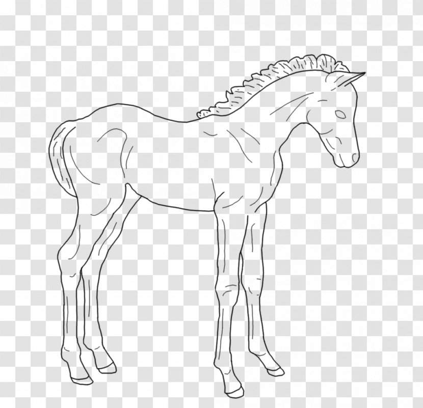 Foal Pony Line Art Colt - Arm - Mustang Transparent PNG