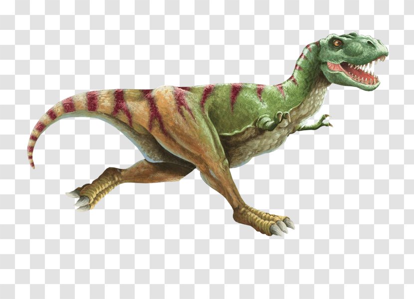 The Dinosaurs Tyrannosaurus Eating Food - Terrestrial Animal - Dinosaur Transparent PNG