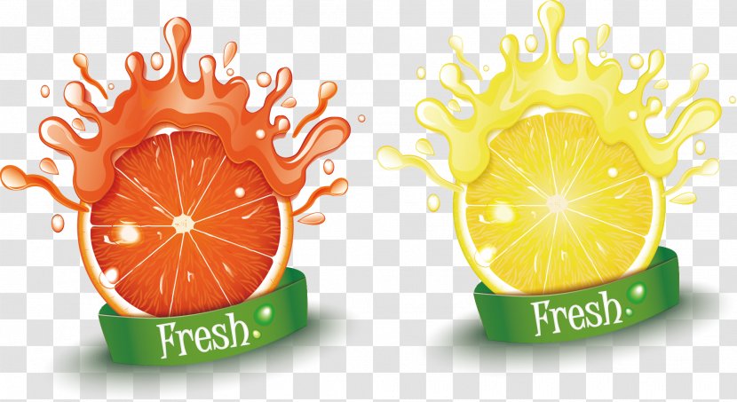 Orange Juice Lemon Breakfast - Food - Splash Of Transparent PNG