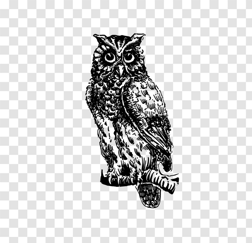 Owl The Picture-poetry Book Drawing Clip Art - Gertrude P Mcbrown Transparent PNG