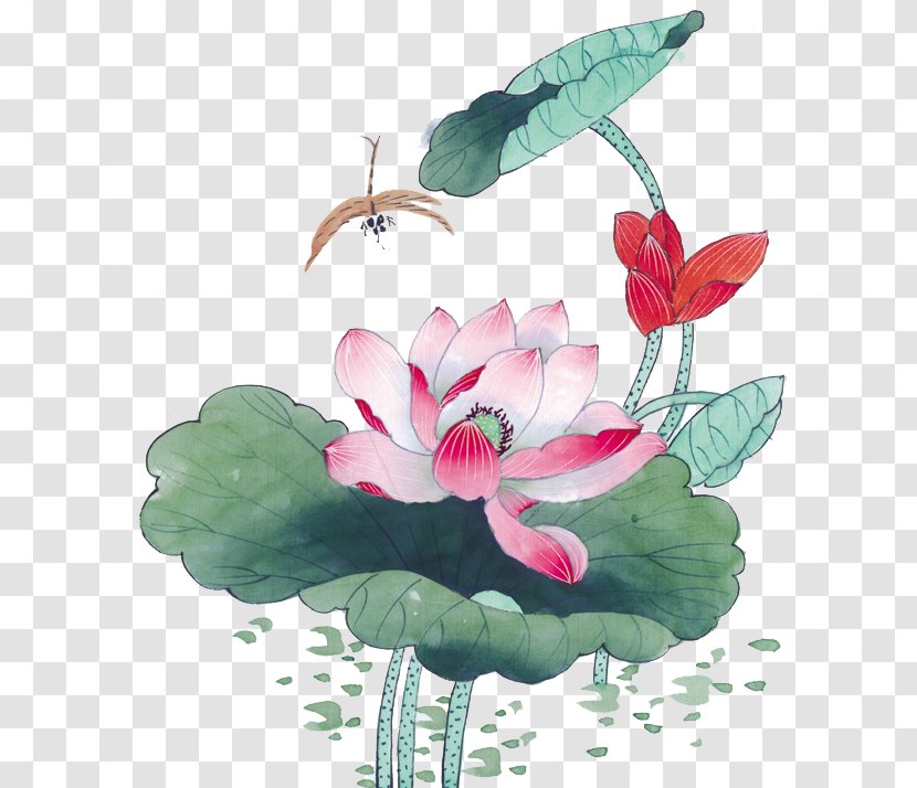 Nelumbo Nucifera Ink Wash Painting Chinese Gongbi - Herbaceous Plant - Hand-painted Lotus Transparent PNG