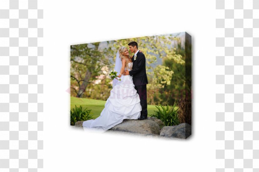 Wedding Photography N11.com Painting Floral Design - Tablo Transparent PNG