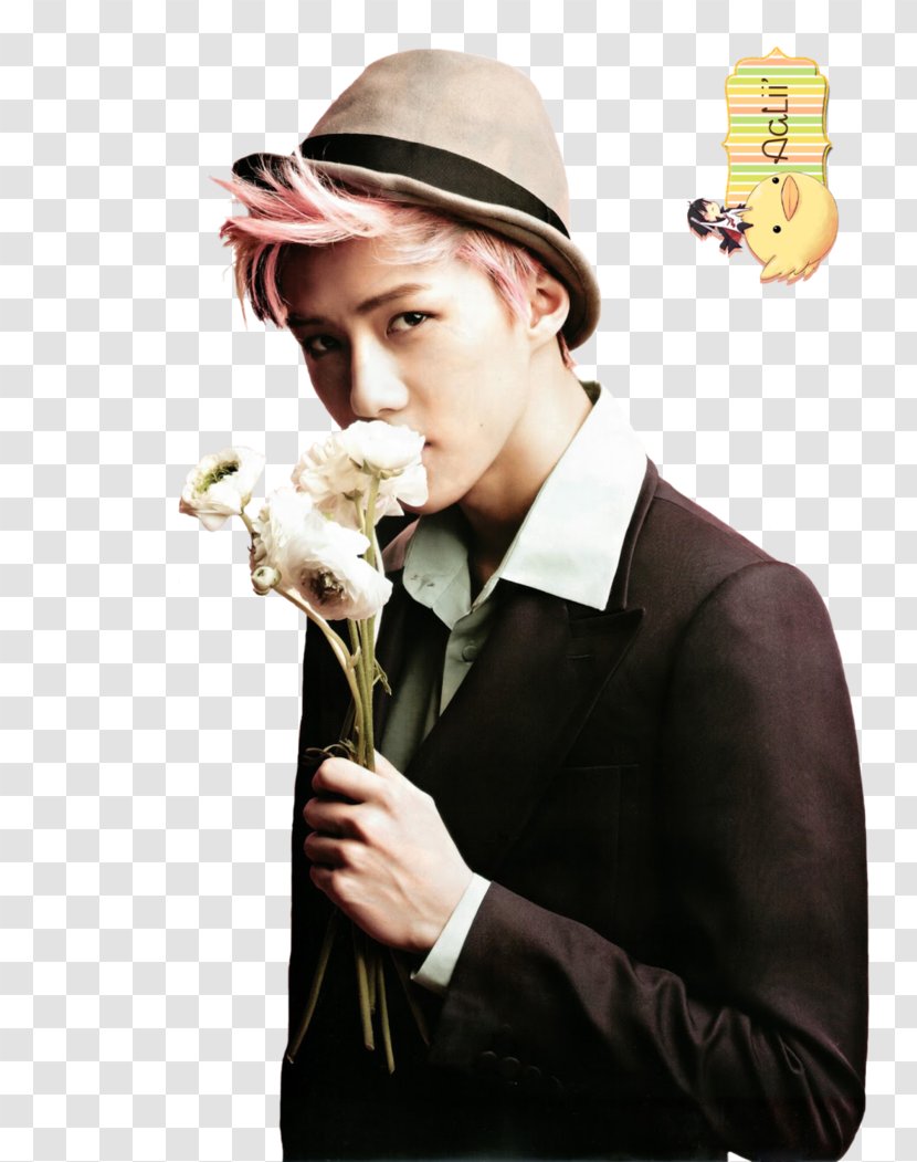 Sehun EXO-K K-pop Musician - Shinee - EXO Kpop Transparent PNG