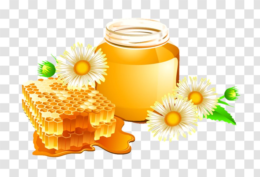 Honey Bee Vector Graphics Honeycomb Clip Art Transparent PNG